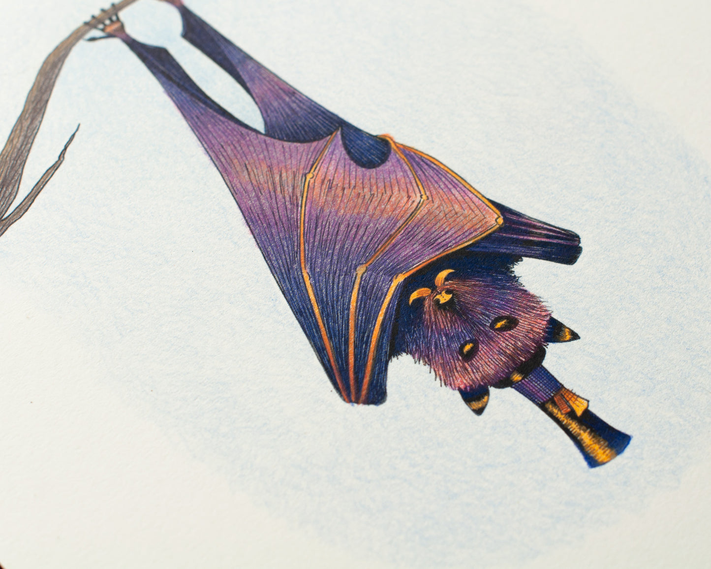 Fancy Bat Original Drawing