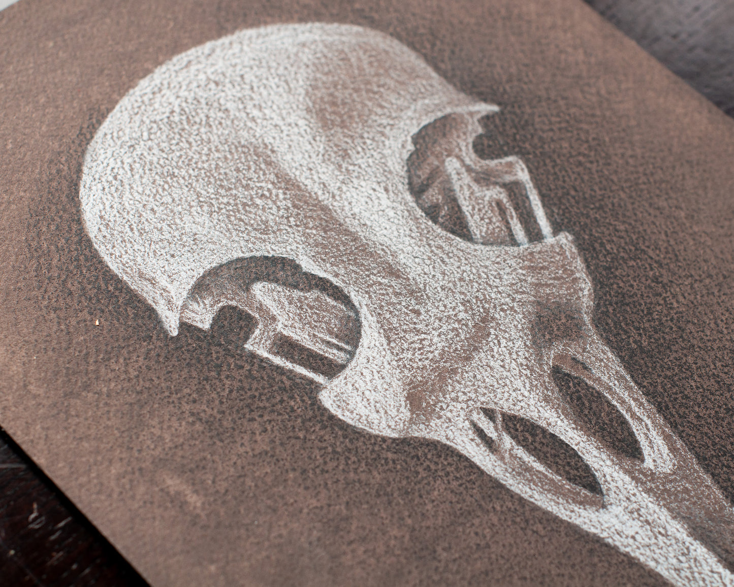 Bird Skull Original Drawing