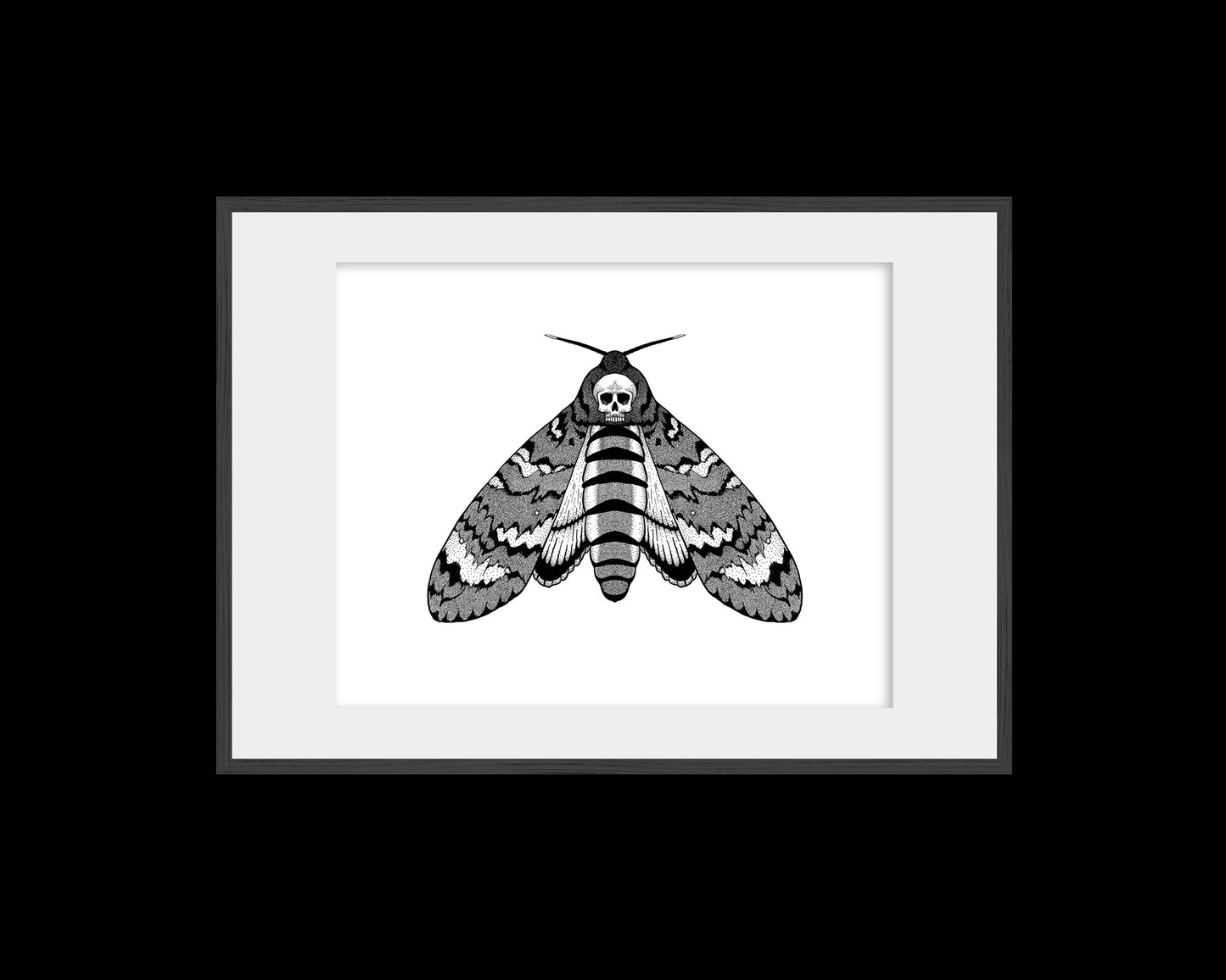 Moth Print