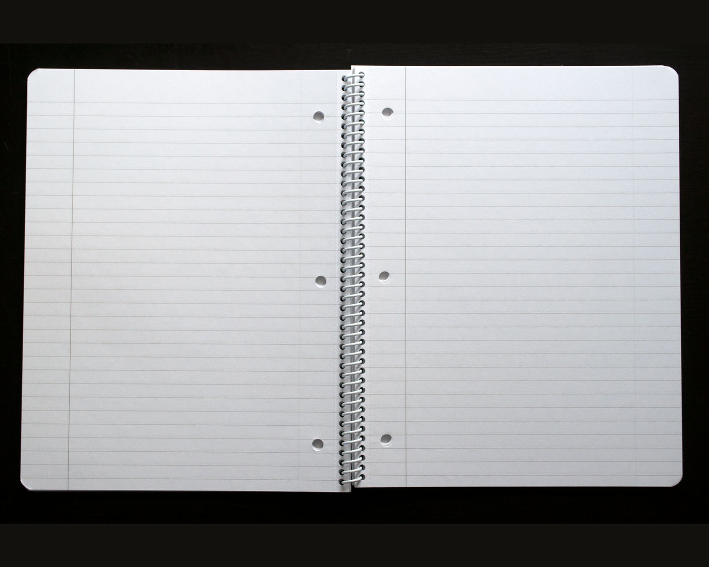 Black & White Moth Print Notebook