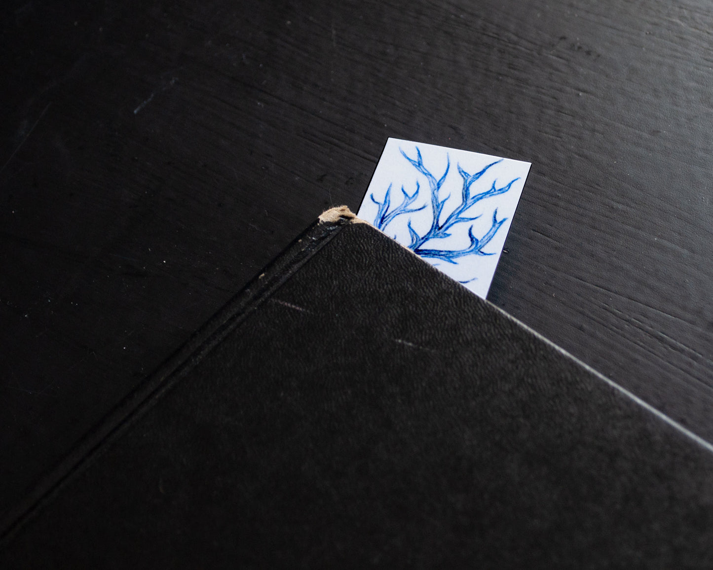 Owl Unicycle—Printed Bookmark