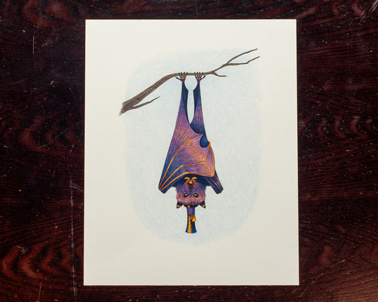 Fancy Bat Original Drawing