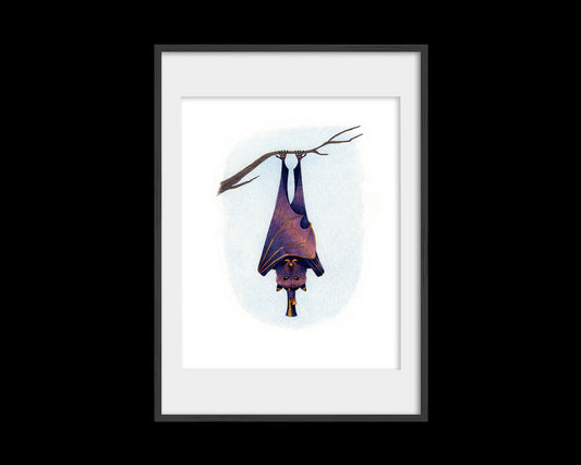 Dapper Bat Print