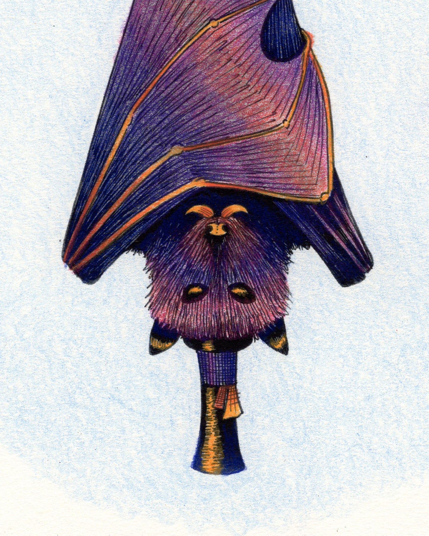 Dapper Bat Print