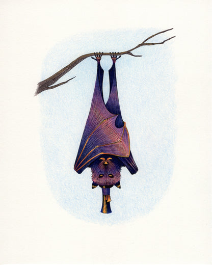 Dapper Bat Print