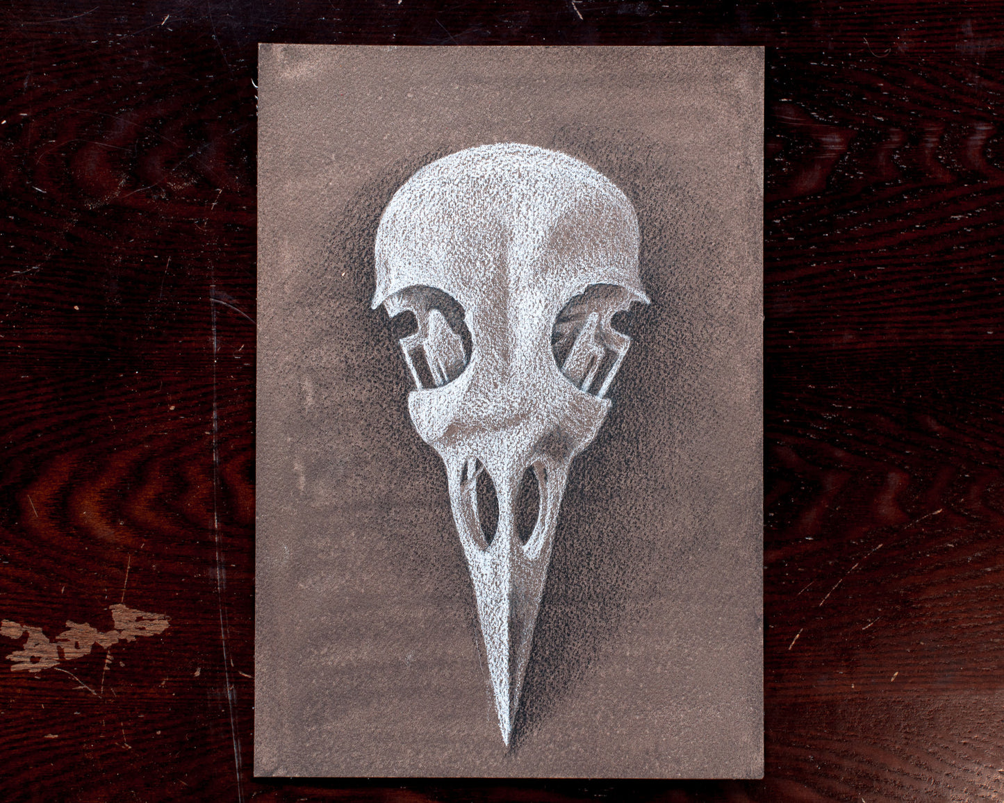 Bird Skull Original Drawing