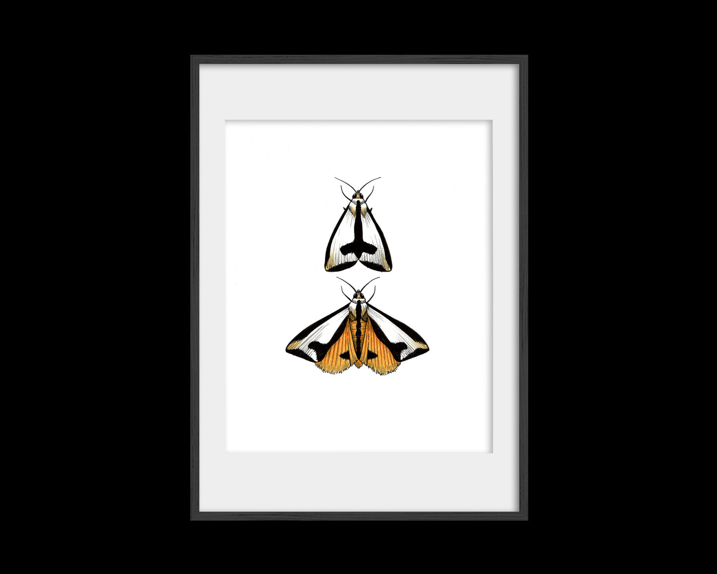 Couple-a Moths Print