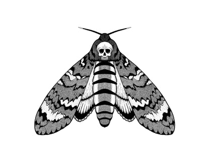 Moth Print